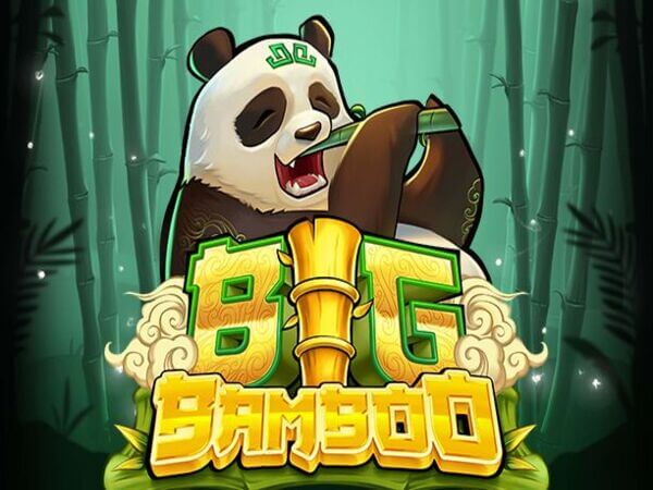 liga bwin 23bwin casino